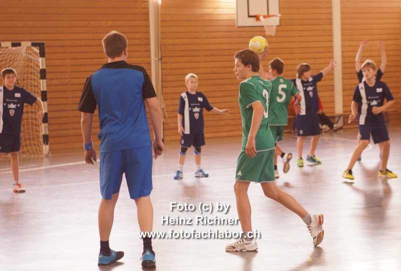 3111962 hvo_2.jpg